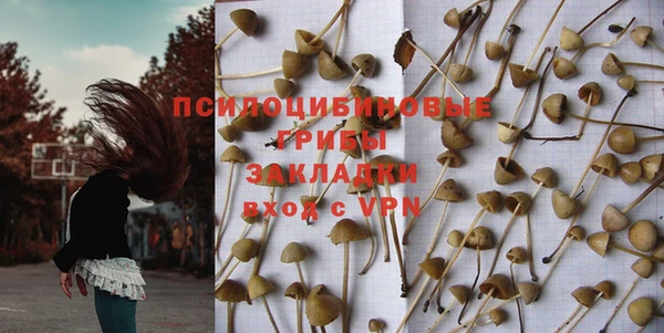 стафф Белокуриха